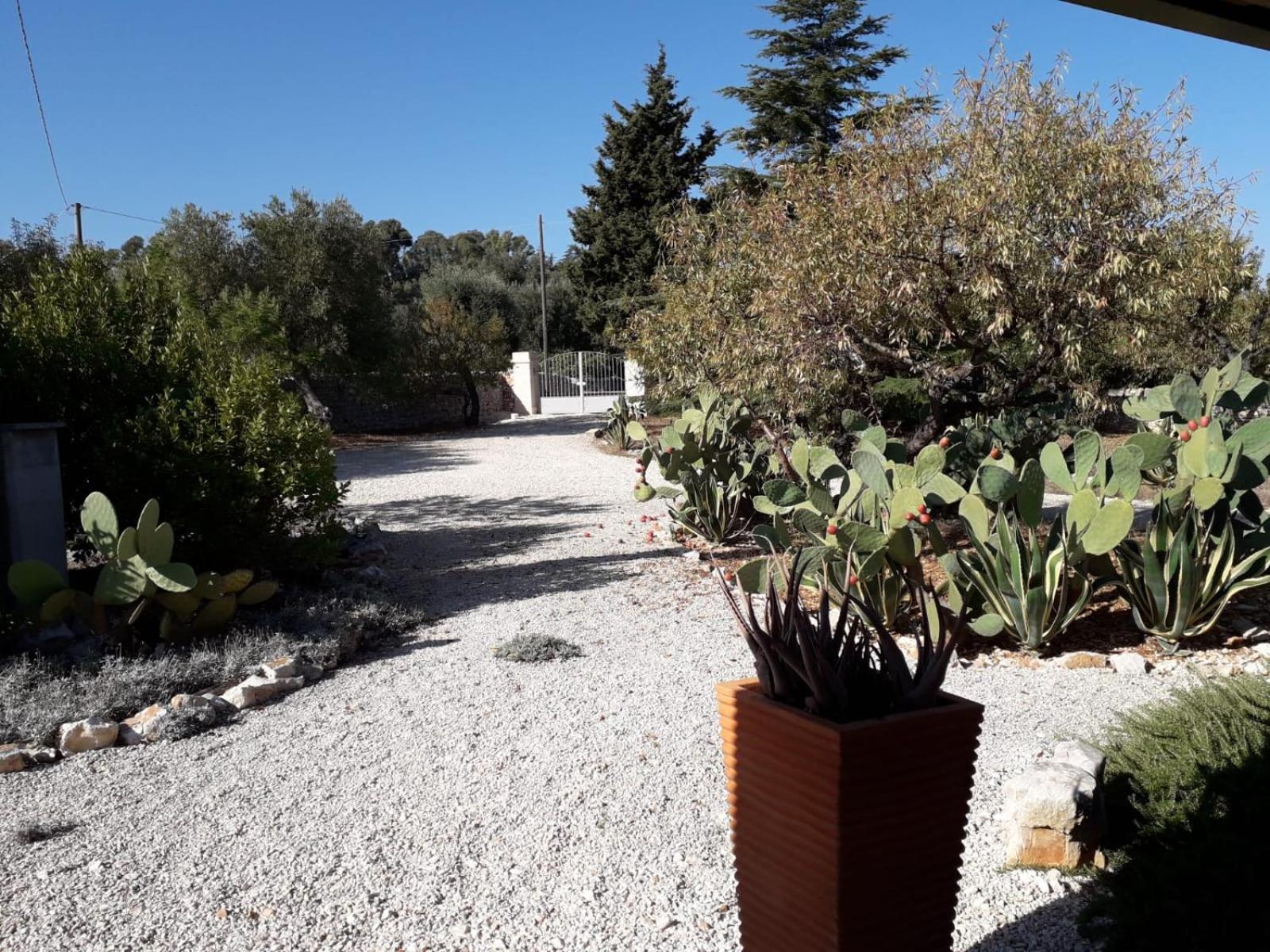 Masseria Due Torri Monopoli Pokoj fotografie