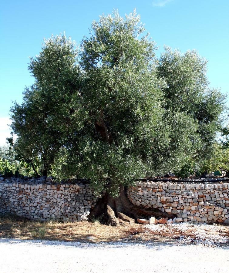 Masseria Due Torri Monopoli Exteriér fotografie