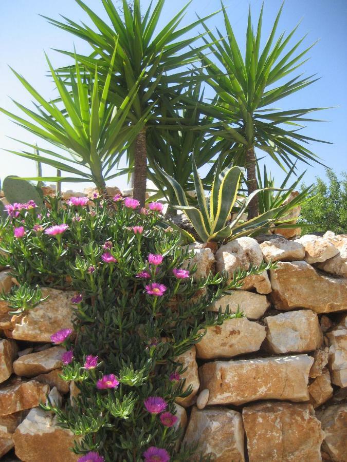 Masseria Due Torri Monopoli Exteriér fotografie